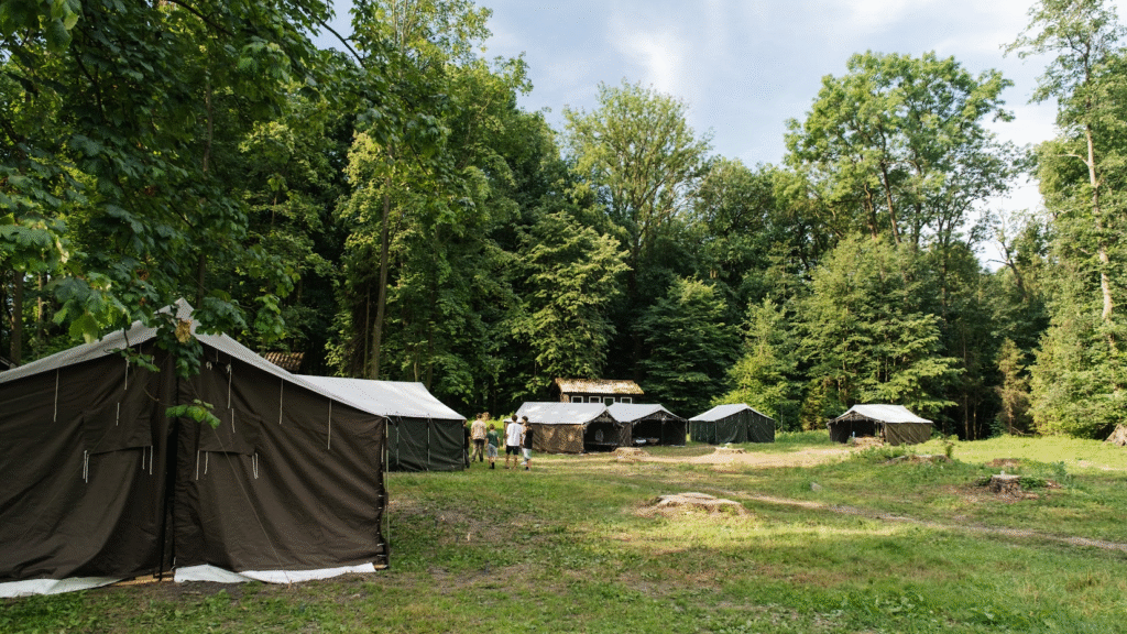 obraz_2025-09-17_225616201