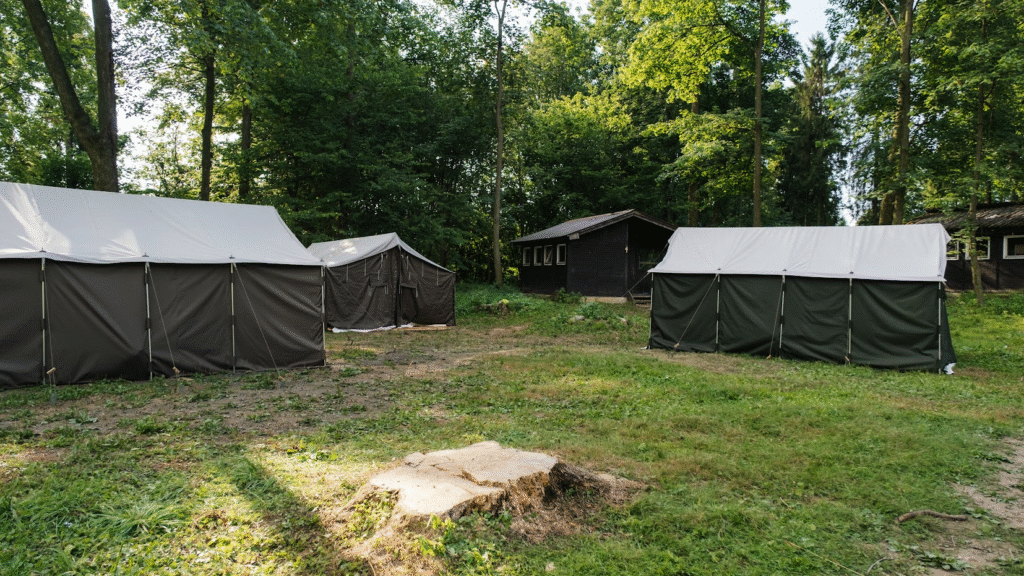 obraz_2025-09-17_225633073